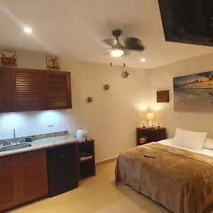 https://coralito-malecon-luxury-studio.quintano-roohotels.com